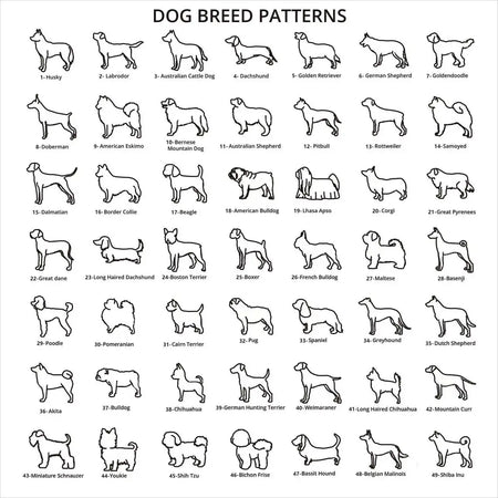 Collare personalizzato per cani