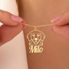 Collier personnalisé Chien